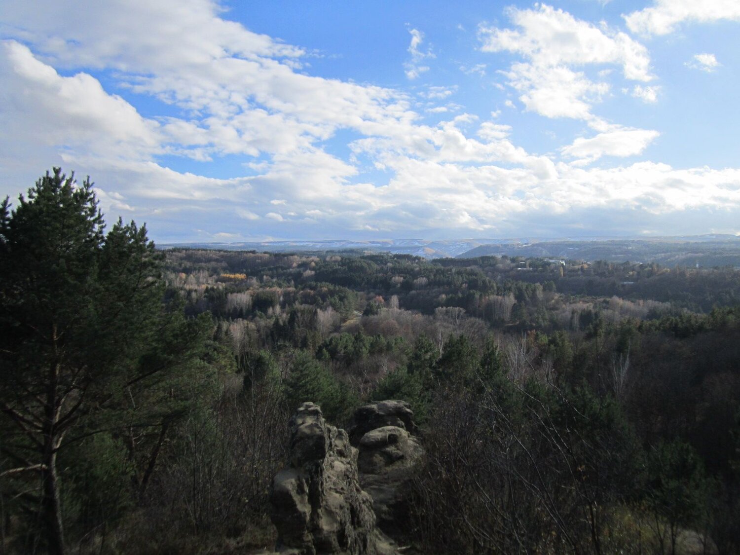 Photo #11376360