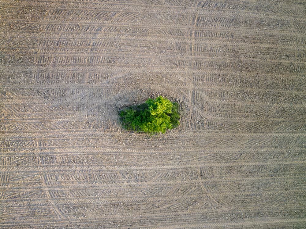 Photograph by George Alexandru Ghiuro