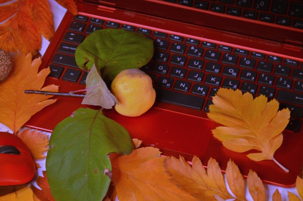 Photograph by Ольга Шевцова