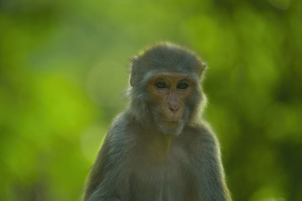 Photograph by Anshuman Tiwari