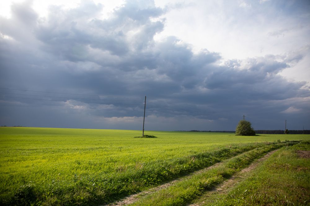 Photograph by Мария Китаева