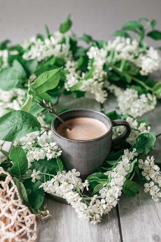 Фотография автора Альбина Кадочникова