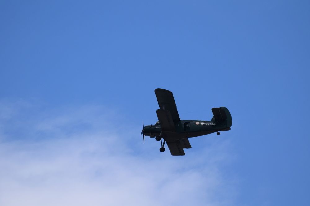 Photograph by Анастасия Белоусова