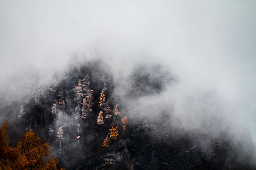 Photograph by Анна Рогачева