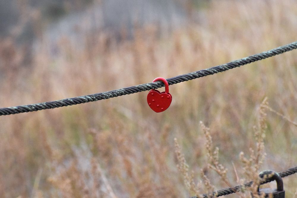 Photograph by Анастасия Белоусова