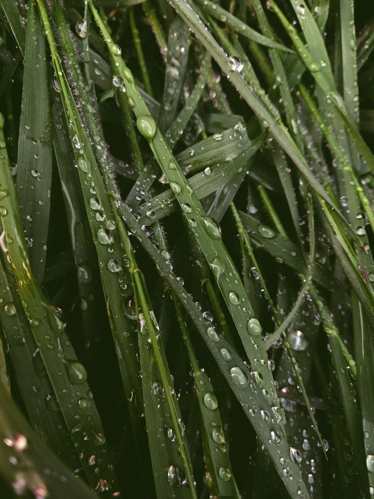 Photograph by Кристина Присяжная