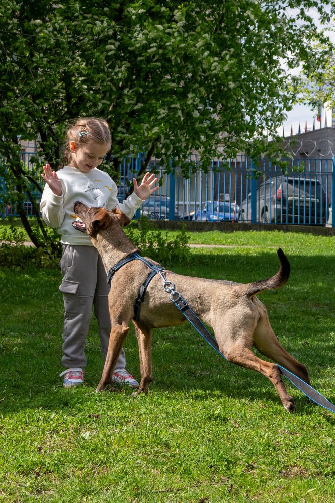 Photograph by Наталия Трофимова