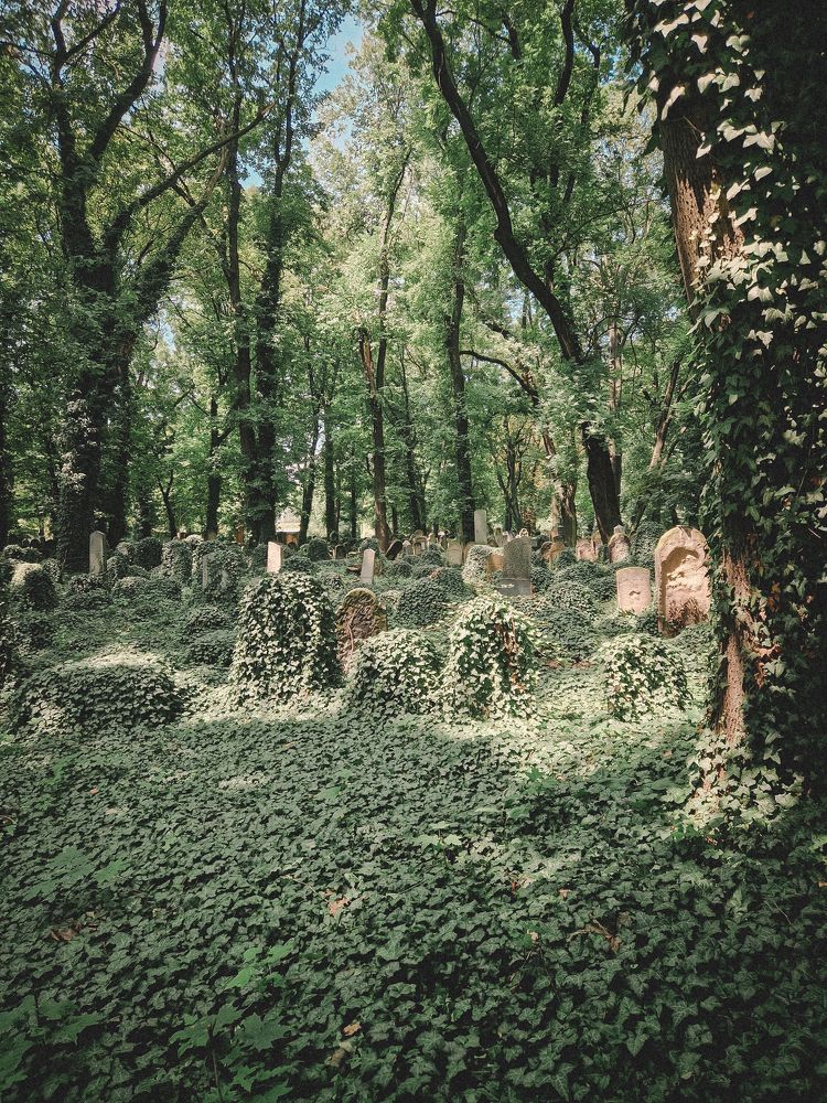 Photograph by Liudmila Kirillova