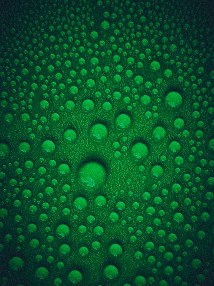 Photograph by Liudmila Kirillova