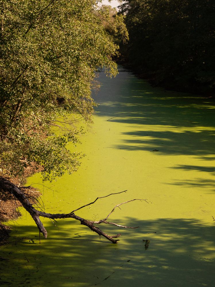 Photograph by Liudmila Kirillova