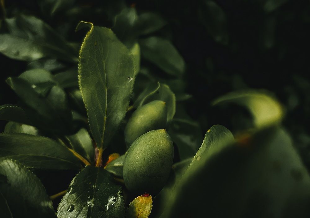 Photograph by Кристина Присяжная