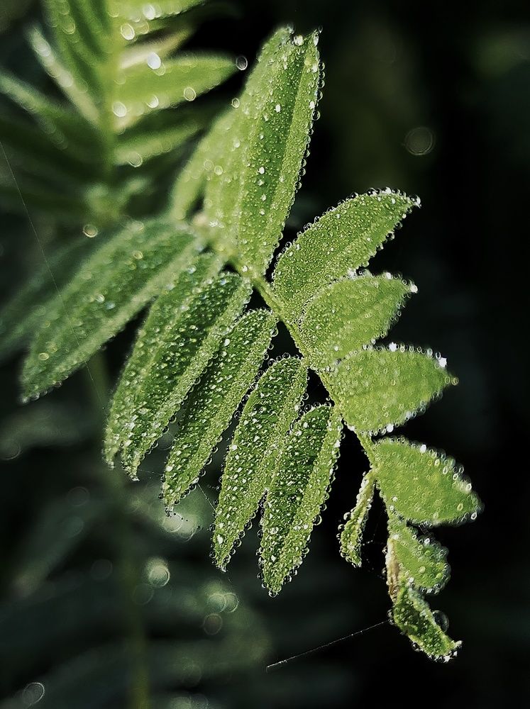 Photograph by Ольга Мартьянова