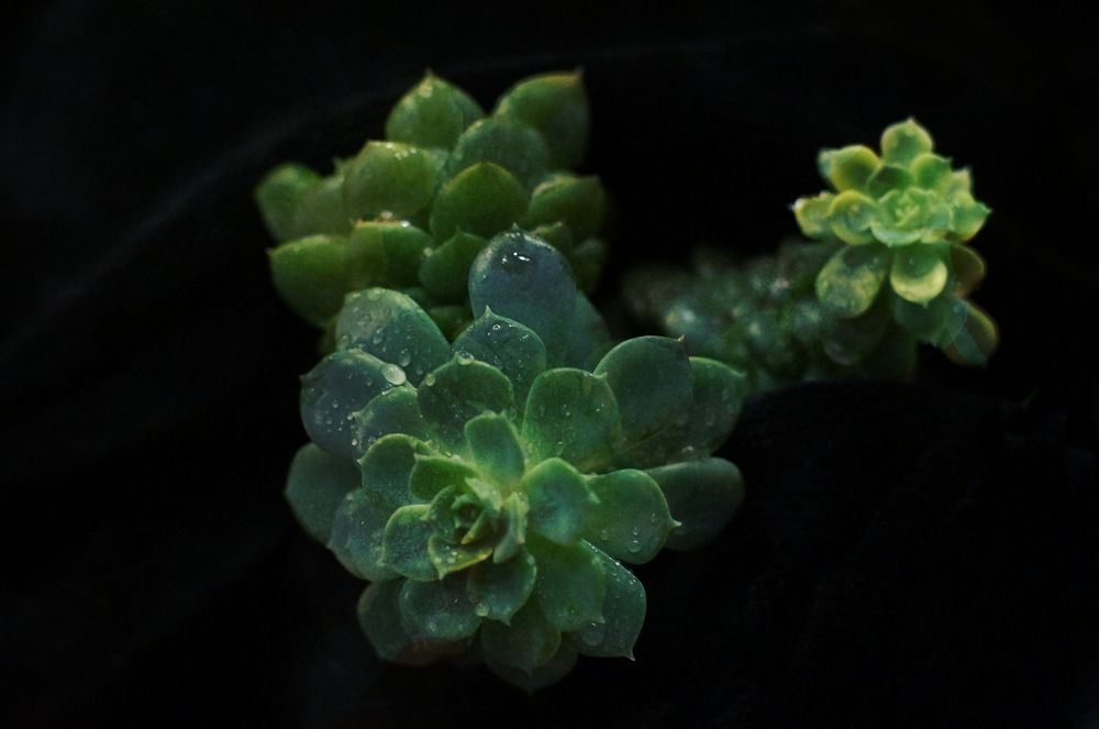 Photograph by Светлана Логинова