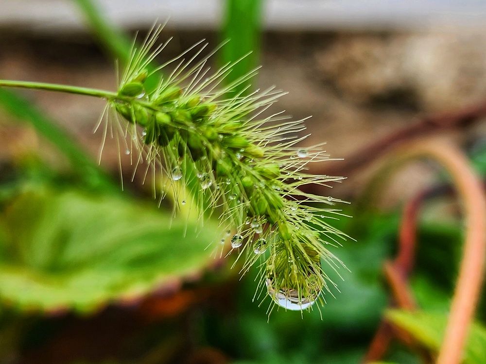 Фотография автора reyhane  khavaninzadeh