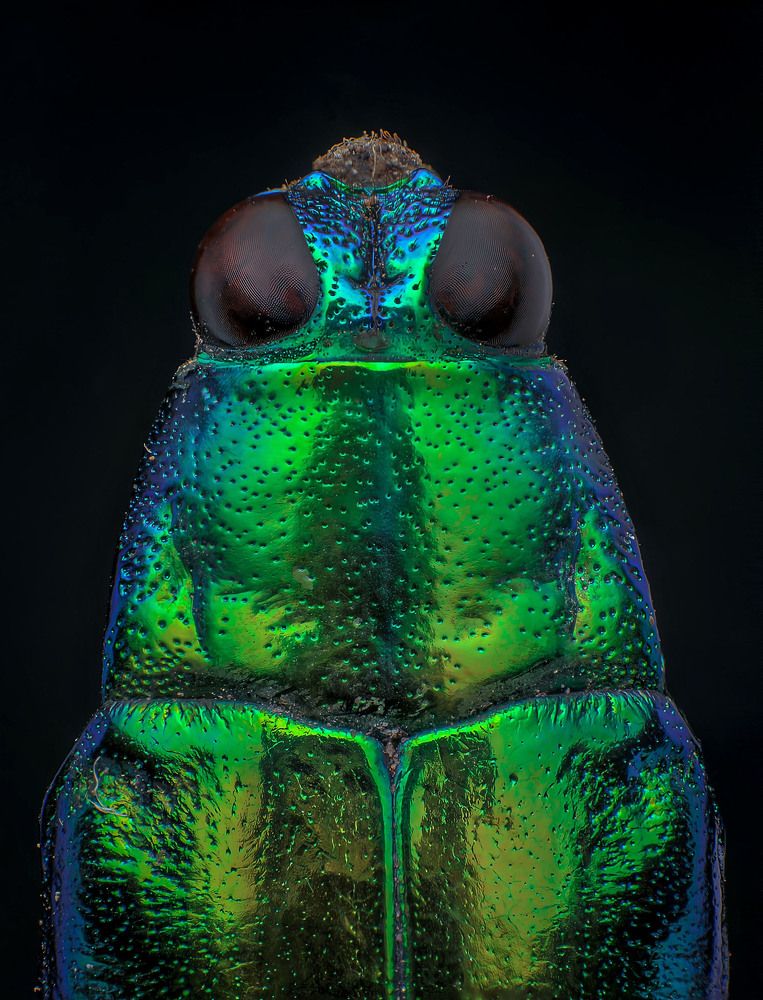 Photograph by Celis Norman