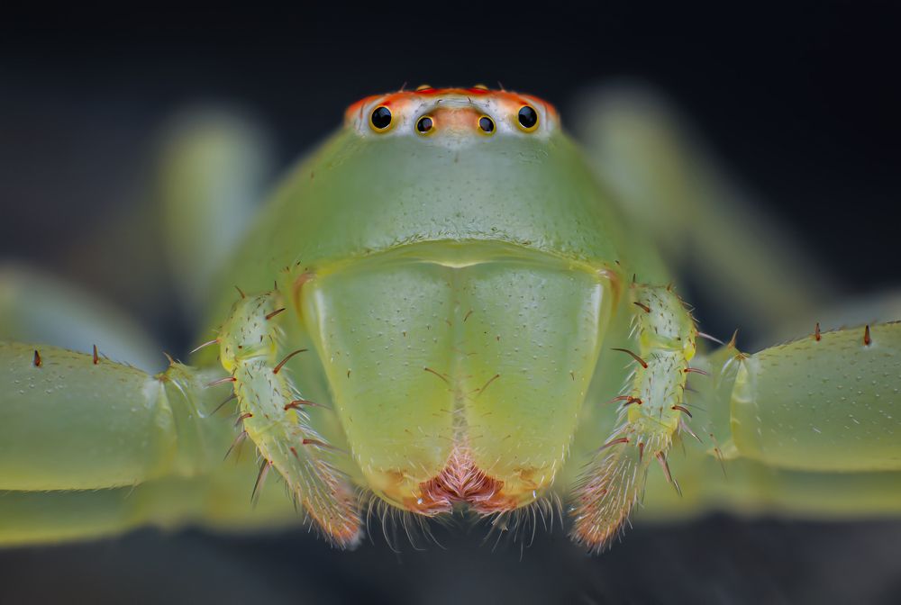 Photograph by Celis Norman