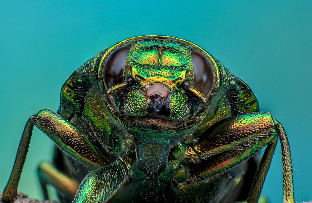 Photograph by Celis Norman