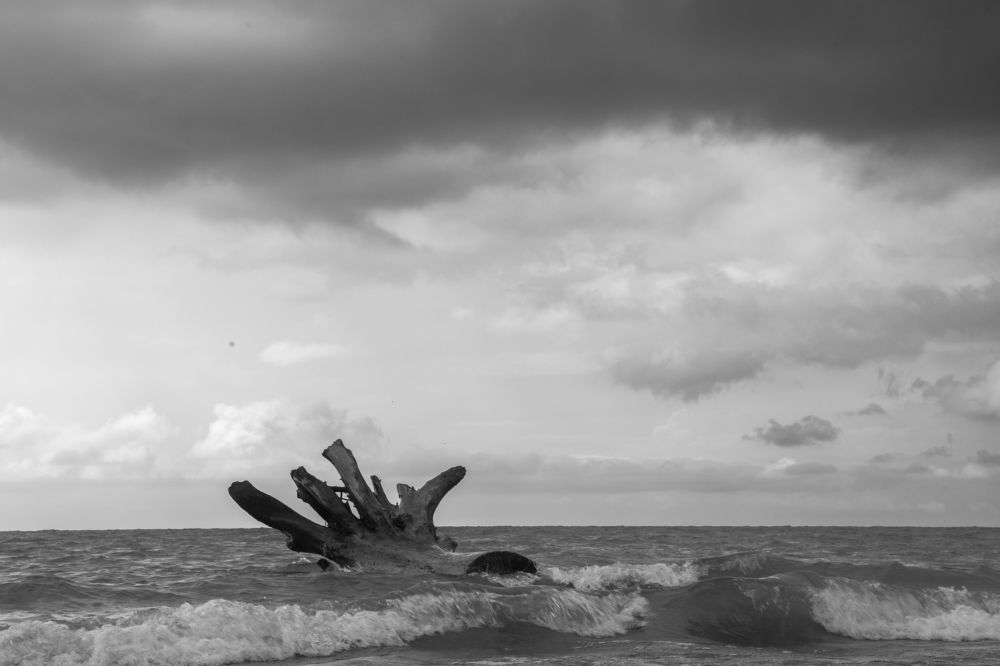 Photograph by Наталья Житинева