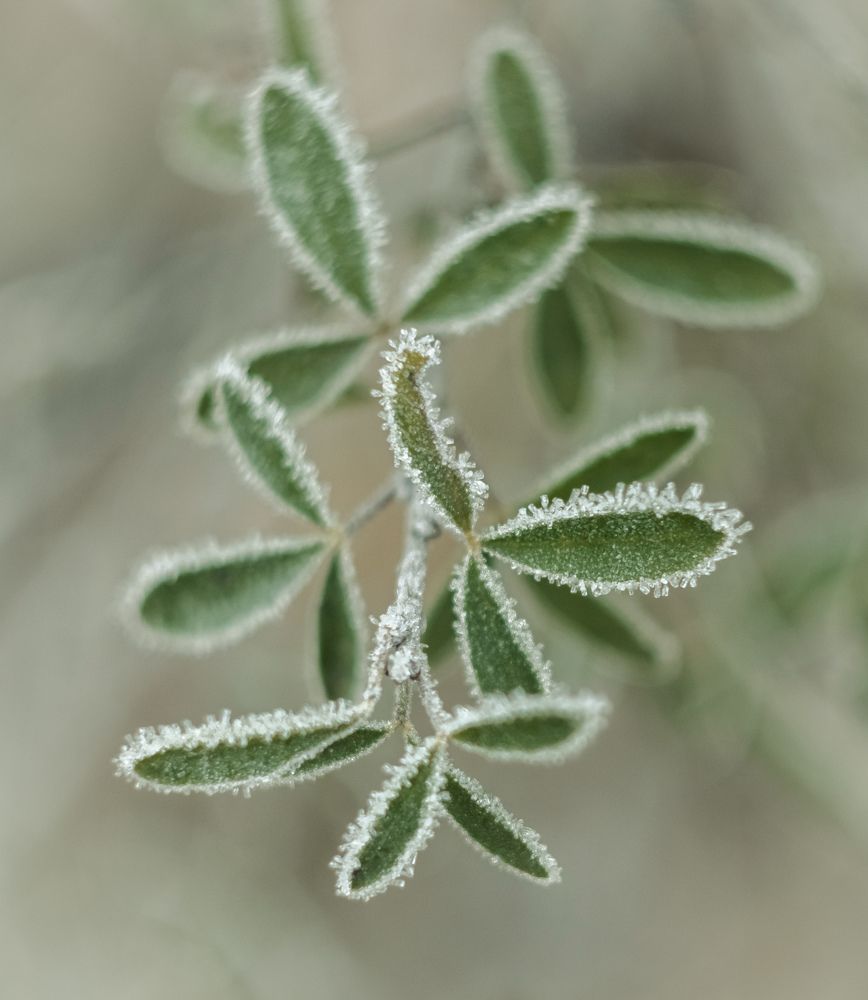 Photograph by Татьяна Романова