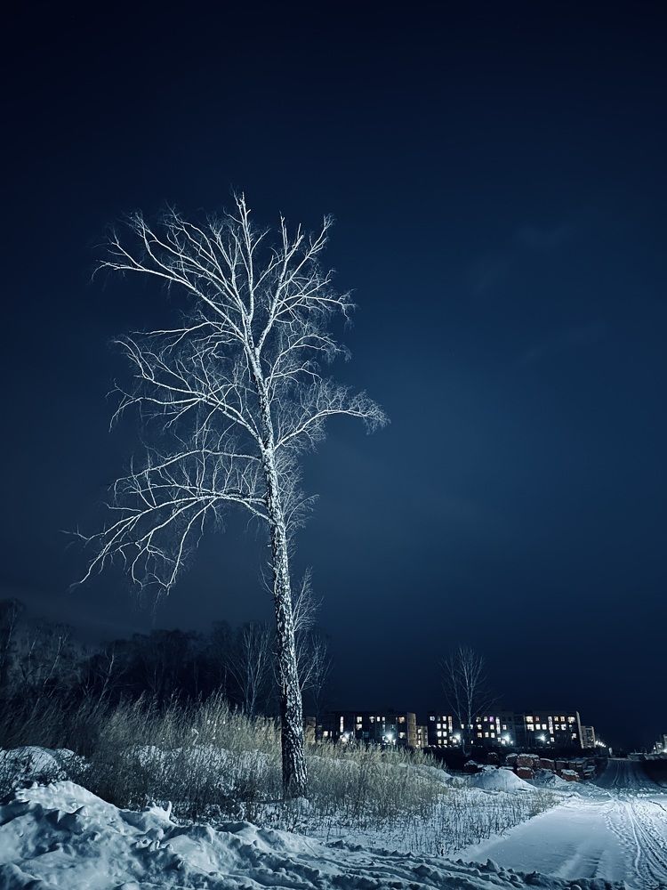 Photograph by Наталья Житинева