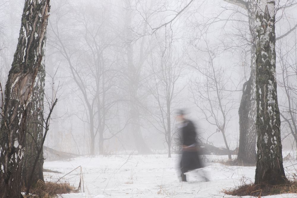 Photograph by Наталья Житинева