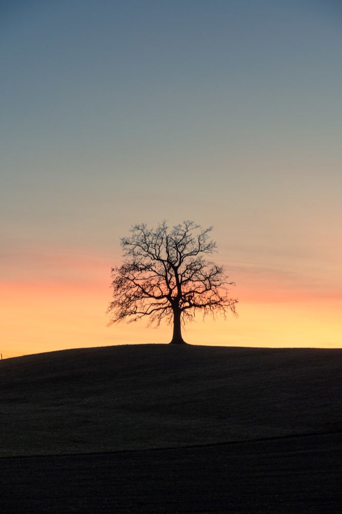 Photograph by Chetan Kapoor