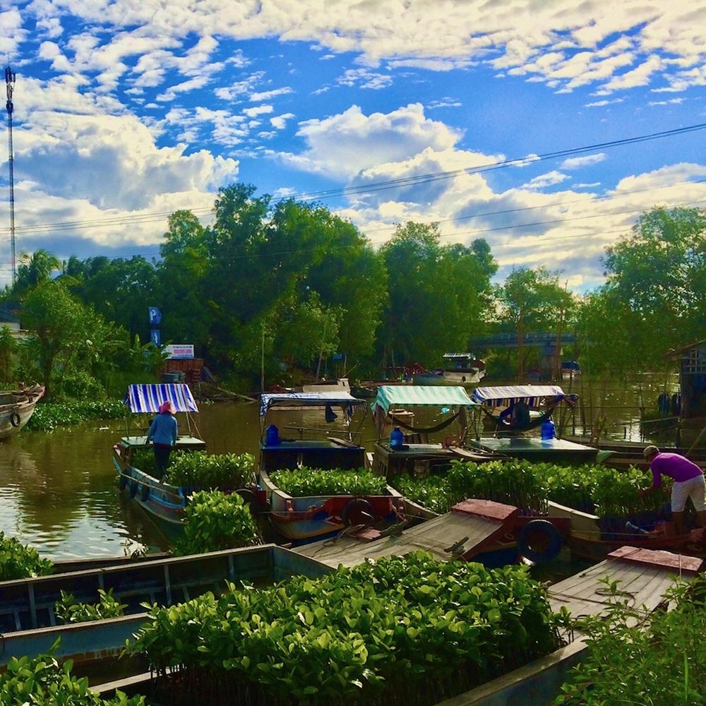 Фотография автора DO HIEU TRUNG