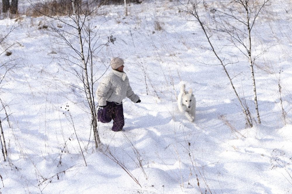 Photograph by Наталья Житинева