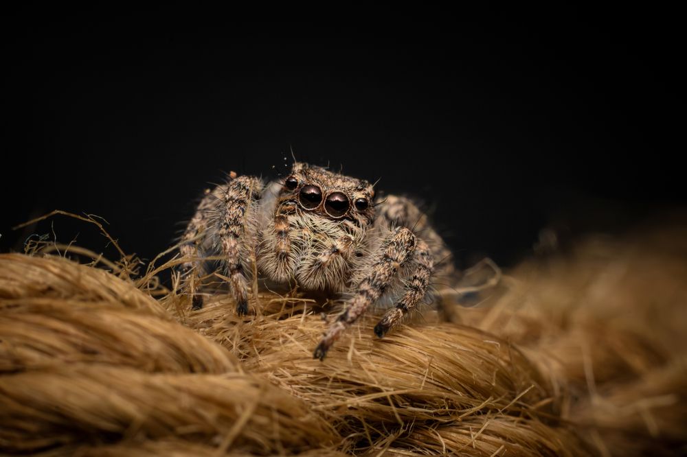 Photograph by Mahdi Reihani Bozorg