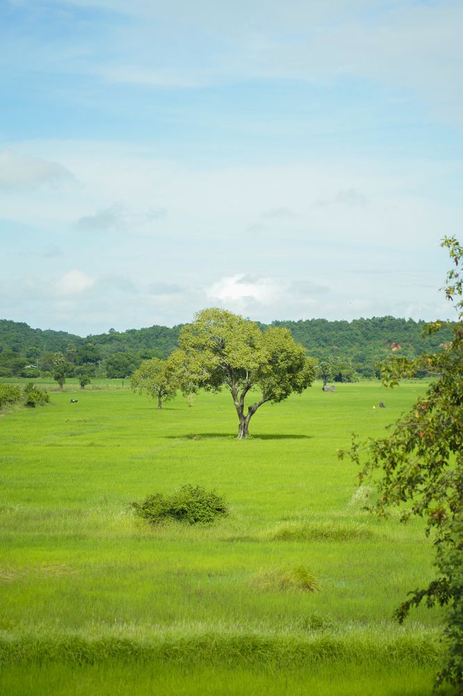 Photograph by Jeyachristy Jeyakumar