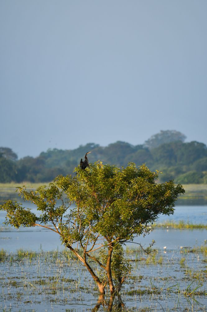 Photograph by Jeyachristy Jeyakumar