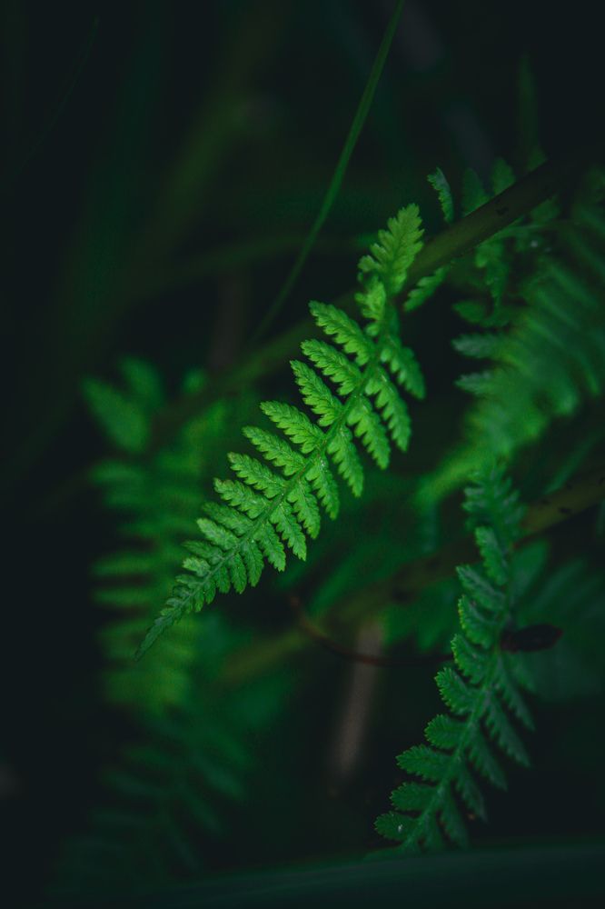 Photograph by Екатерина Никитина