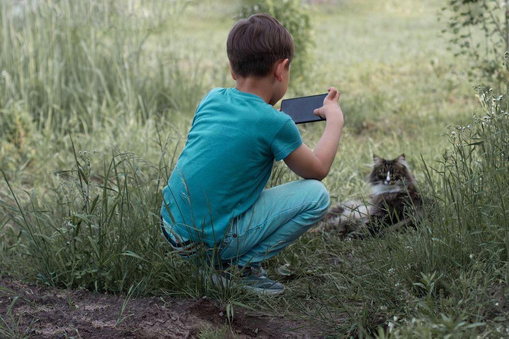 Photograph by Анастасия Щеглова