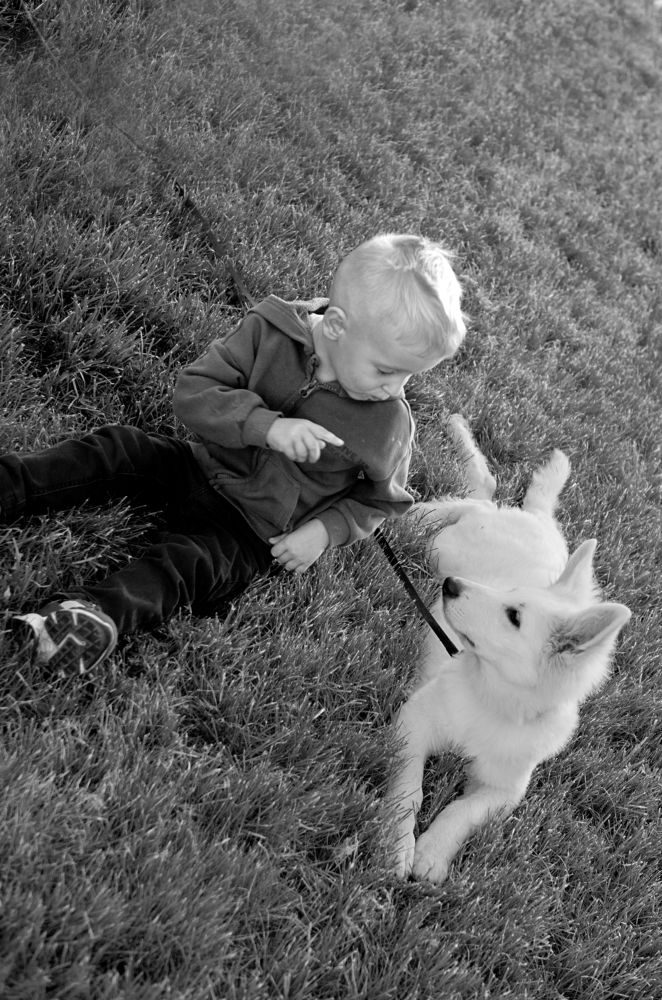 Photograph by Наталья Житинева