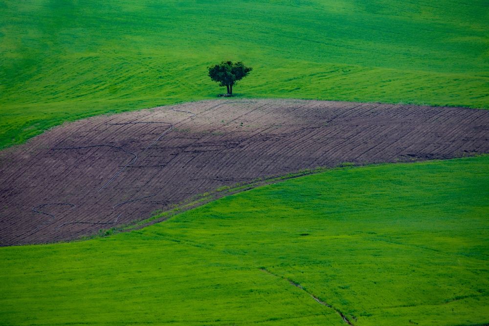 Фотография автора mohammad Alipour