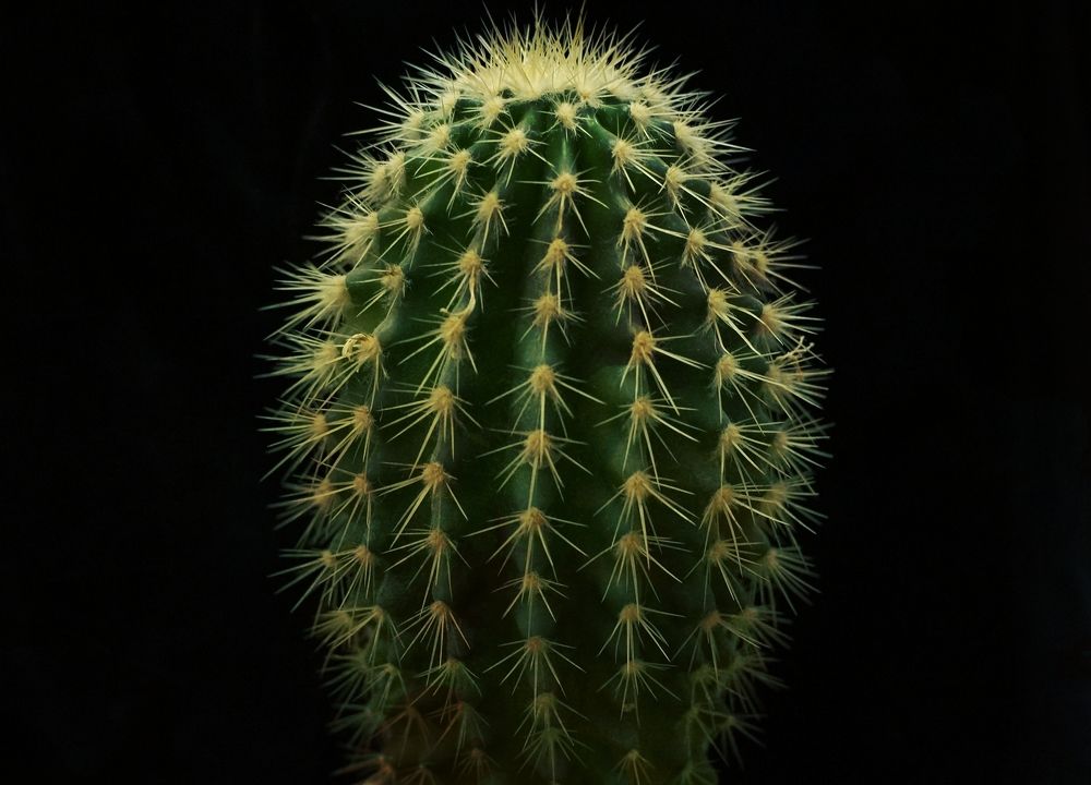 Photograph by Светлана Логинова