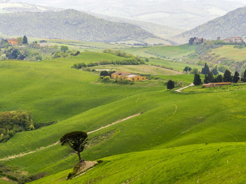 Photograph by Александр Журавлев