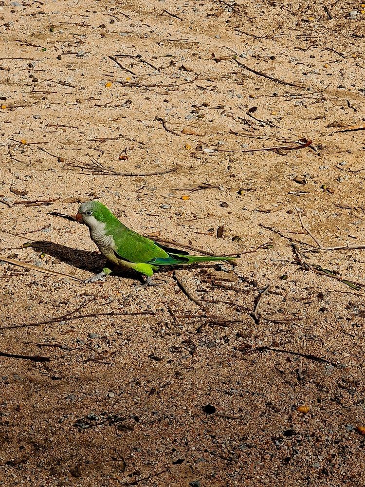 Фотография автора Maryna Pytliak