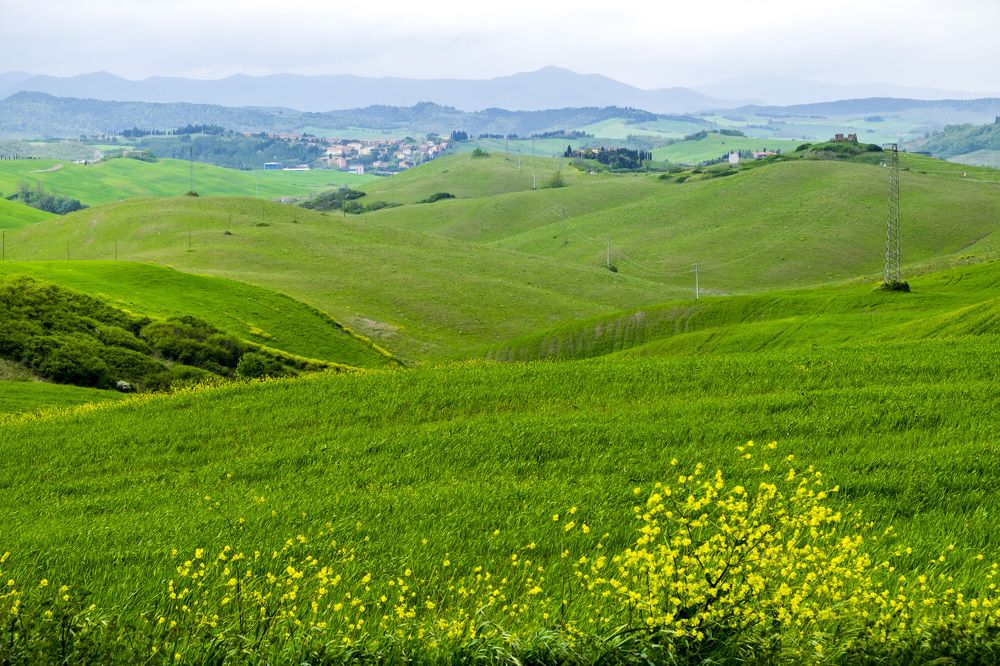 Photograph by Александр Журавлев