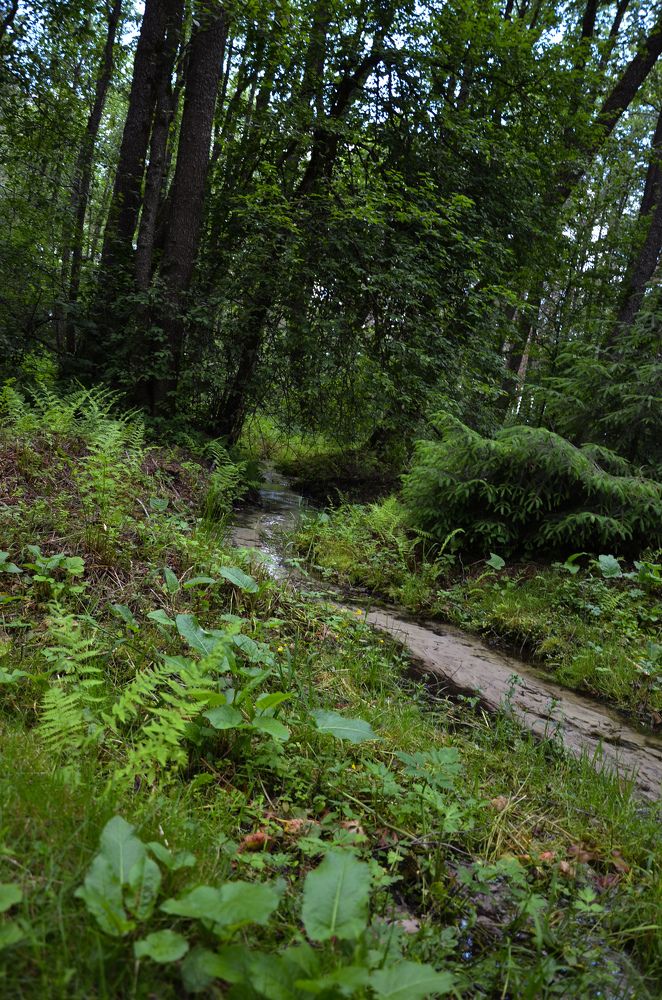 Photograph by Елена Сырцева