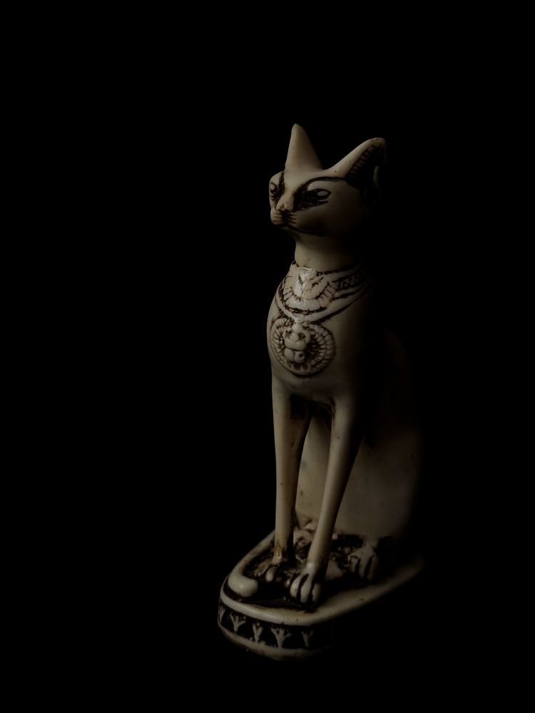 Photograph by Елена