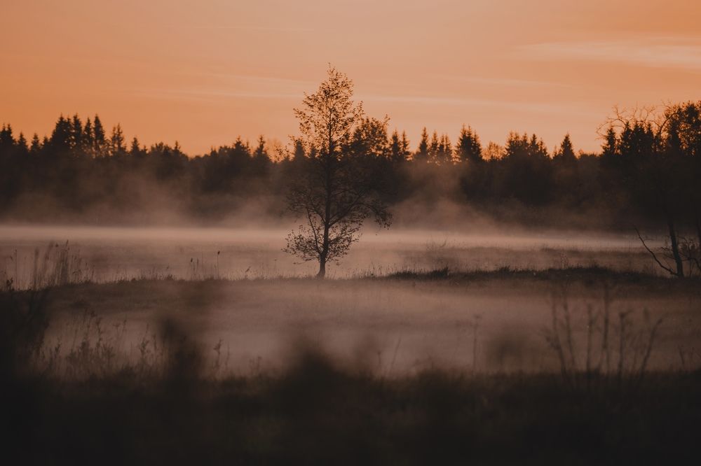 Фотография автора Ирина Шестакова