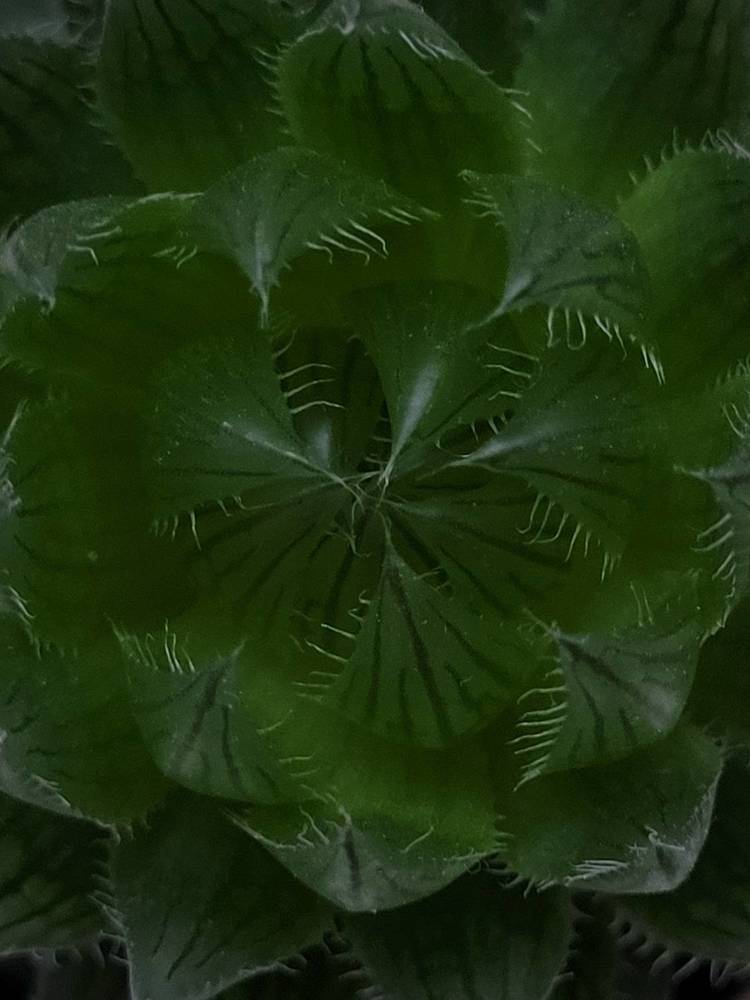 Photograph by Елена