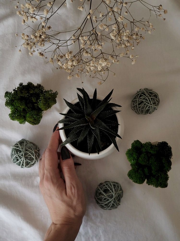 Photograph by Елена