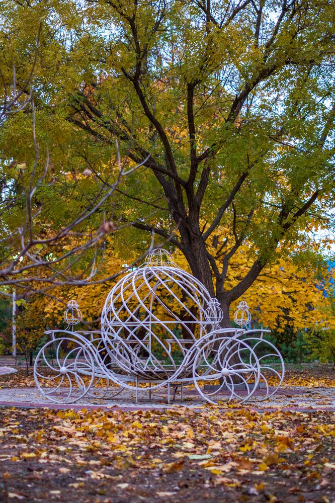 Карета в осеннем парке