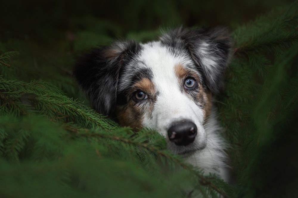 Photograph by Мария Шерскова