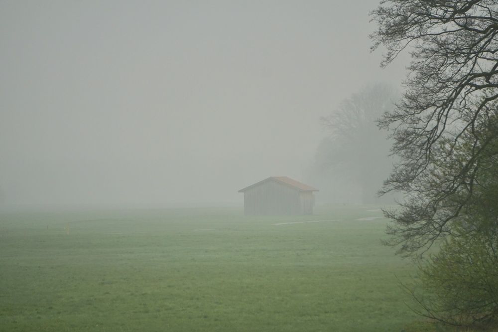Фотография автора Liudmila Kiermeier