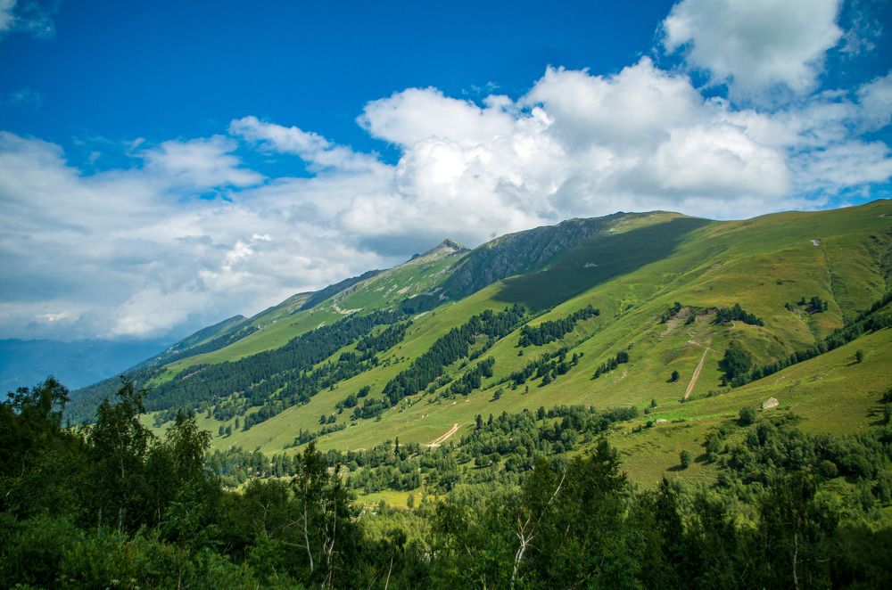 Зелёные склоны