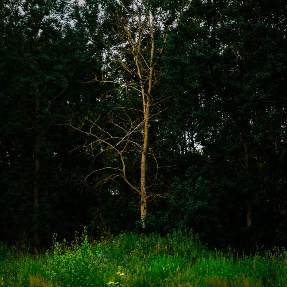 Photograph by Наталья Житинева