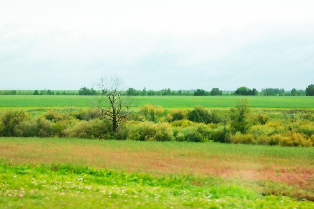 Photograph by Наталья Житинева